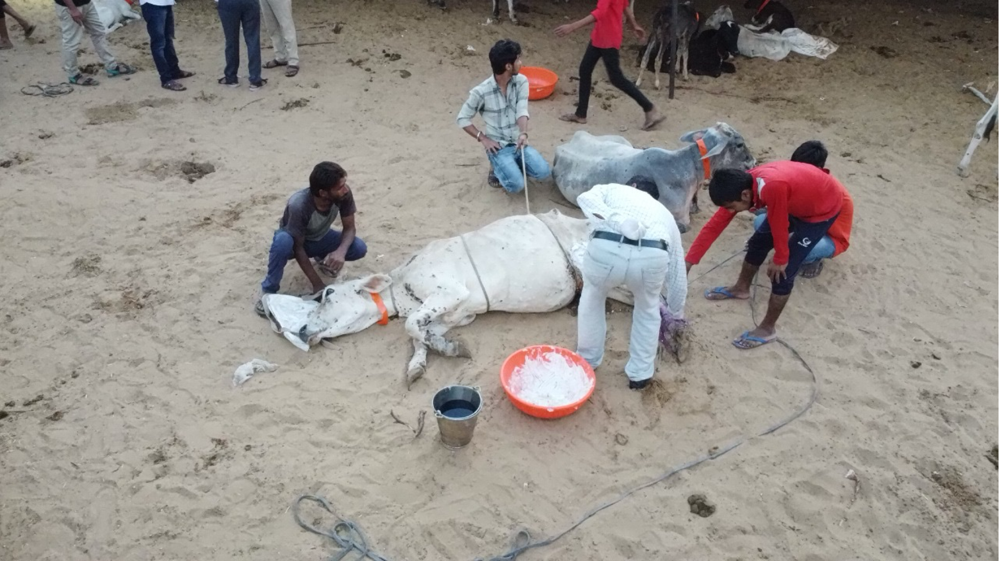 R P PANSARI JAN SEVA TRUST